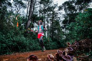 BIB: 
                            <button type="button" onclick="openModal(25878884)" class="btn btn-primary btn-sm float-right btn-popup" data-toggle="modal" data-target=".modal-high-quality">
                        <i class="fas fa-shopping-cart"></i> Add to Cart
                    </button>
                                            <button type="button" onclick="isThisMe(25878884, true)" class="btn btn-success btn-sm float-right btn-popup btn-isme hidden" data-toggle="tooltip" data-placement="bottom" title="นี่คือรูปของคุณใช่ไหม คลิกที่นี่เพื่อเอาเข้าอัลบั้ม">
                        <i class="fas fa-plus"></i> Add to album
                    </button>
                    <button type="button" onclick="isThisMe(25878884, false)" class="btn btn-warning btn-sm float-right btn-popup btn-isnotme hidden">
                        <i class="fas fa-ban"></i> Remove from album
                    </button>