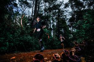 BIB: 
                            <button type="button" onclick="openModal(25882146)" class="btn btn-primary btn-sm float-right btn-popup" data-toggle="modal" data-target=".modal-high-quality">
                        <i class="fas fa-shopping-cart"></i> Add to Cart
                    </button>
                                            <button type="button" onclick="isThisMe(25882146, true)" class="btn btn-success btn-sm float-right btn-popup btn-isme hidden" data-toggle="tooltip" data-placement="bottom" title="นี่คือรูปของคุณใช่ไหม คลิกที่นี่เพื่อเอาเข้าอัลบั้ม">
                        <i class="fas fa-plus"></i> Add to album
                    </button>
                    <button type="button" onclick="isThisMe(25882146, false)" class="btn btn-warning btn-sm float-right btn-popup btn-isnotme hidden">
                        <i class="fas fa-ban"></i> Remove from album
                    </button>