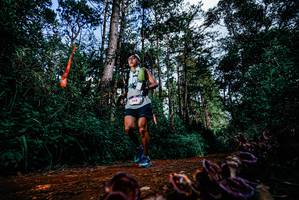 BIB: 
                            <button type="button" onclick="openModal(25880256)" class="btn btn-primary btn-sm float-right btn-popup" data-toggle="modal" data-target=".modal-high-quality">
                        <i class="fas fa-shopping-cart"></i> Add to Cart
                    </button>
                                            <button type="button" onclick="isThisMe(25880256, true)" class="btn btn-success btn-sm float-right btn-popup btn-isme hidden" data-toggle="tooltip" data-placement="bottom" title="นี่คือรูปของคุณใช่ไหม คลิกที่นี่เพื่อเอาเข้าอัลบั้ม">
                        <i class="fas fa-plus"></i> Add to album
                    </button>
                    <button type="button" onclick="isThisMe(25880256, false)" class="btn btn-warning btn-sm float-right btn-popup btn-isnotme hidden">
                        <i class="fas fa-ban"></i> Remove from album
                    </button>