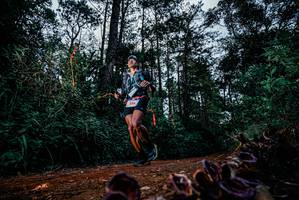 BIB: 
                            <button type="button" onclick="openModal(25882172)" class="btn btn-primary btn-sm float-right btn-popup" data-toggle="modal" data-target=".modal-high-quality">
                        <i class="fas fa-shopping-cart"></i> Add to Cart
                    </button>
                                            <button type="button" onclick="isThisMe(25882172, true)" class="btn btn-success btn-sm float-right btn-popup btn-isme hidden" data-toggle="tooltip" data-placement="bottom" title="นี่คือรูปของคุณใช่ไหม คลิกที่นี่เพื่อเอาเข้าอัลบั้ม">
                        <i class="fas fa-plus"></i> Add to album
                    </button>
                    <button type="button" onclick="isThisMe(25882172, false)" class="btn btn-warning btn-sm float-right btn-popup btn-isnotme hidden">
                        <i class="fas fa-ban"></i> Remove from album
                    </button>