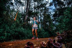 BIB: 
                            <button type="button" onclick="openModal(25880849)" class="btn btn-primary btn-sm float-right btn-popup" data-toggle="modal" data-target=".modal-high-quality">
                        <i class="fas fa-shopping-cart"></i> Add to Cart
                    </button>
                                            <button type="button" onclick="isThisMe(25880849, true)" class="btn btn-success btn-sm float-right btn-popup btn-isme hidden" data-toggle="tooltip" data-placement="bottom" title="นี่คือรูปของคุณใช่ไหม คลิกที่นี่เพื่อเอาเข้าอัลบั้ม">
                        <i class="fas fa-plus"></i> Add to album
                    </button>
                    <button type="button" onclick="isThisMe(25880849, false)" class="btn btn-warning btn-sm float-right btn-popup btn-isnotme hidden">
                        <i class="fas fa-ban"></i> Remove from album
                    </button>