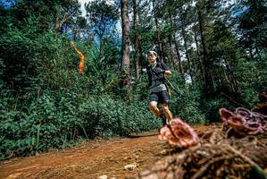 BIB: 
                            <button type="button" onclick="openModal(25878075)" class="btn btn-primary btn-sm float-right btn-popup" data-toggle="modal" data-target=".modal-high-quality">
                        <i class="fas fa-shopping-cart"></i> Add to Cart
                    </button>
                                            <button type="button" onclick="isThisMe(25878075, true)" class="btn btn-success btn-sm float-right btn-popup btn-isme hidden" data-toggle="tooltip" data-placement="bottom" title="นี่คือรูปของคุณใช่ไหม คลิกที่นี่เพื่อเอาเข้าอัลบั้ม">
                        <i class="fas fa-plus"></i> Add to album
                    </button>
                    <button type="button" onclick="isThisMe(25878075, false)" class="btn btn-warning btn-sm float-right btn-popup btn-isnotme hidden">
                        <i class="fas fa-ban"></i> Remove from album
                    </button>