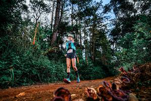 BIB: 
                            <button type="button" onclick="openModal(25882514)" class="btn btn-primary btn-sm float-right btn-popup" data-toggle="modal" data-target=".modal-high-quality">
                        <i class="fas fa-shopping-cart"></i> Add to Cart
                    </button>
                                            <button type="button" onclick="isThisMe(25882514, true)" class="btn btn-success btn-sm float-right btn-popup btn-isme hidden" data-toggle="tooltip" data-placement="bottom" title="นี่คือรูปของคุณใช่ไหม คลิกที่นี่เพื่อเอาเข้าอัลบั้ม">
                        <i class="fas fa-plus"></i> Add to album
                    </button>
                    <button type="button" onclick="isThisMe(25882514, false)" class="btn btn-warning btn-sm float-right btn-popup btn-isnotme hidden">
                        <i class="fas fa-ban"></i> Remove from album
                    </button>