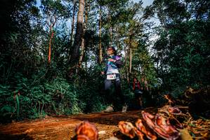 BIB: 
                            <button type="button" onclick="openModal(25882300)" class="btn btn-primary btn-sm float-right btn-popup" data-toggle="modal" data-target=".modal-high-quality">
                        <i class="fas fa-shopping-cart"></i> Add to Cart
                    </button>
                                            <button type="button" onclick="isThisMe(25882300, true)" class="btn btn-success btn-sm float-right btn-popup btn-isme hidden" data-toggle="tooltip" data-placement="bottom" title="นี่คือรูปของคุณใช่ไหม คลิกที่นี่เพื่อเอาเข้าอัลบั้ม">
                        <i class="fas fa-plus"></i> Add to album
                    </button>
                    <button type="button" onclick="isThisMe(25882300, false)" class="btn btn-warning btn-sm float-right btn-popup btn-isnotme hidden">
                        <i class="fas fa-ban"></i> Remove from album
                    </button>