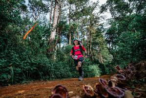 BIB: 
                            <button type="button" onclick="openModal(25880394)" class="btn btn-primary btn-sm float-right btn-popup" data-toggle="modal" data-target=".modal-high-quality">
                        <i class="fas fa-shopping-cart"></i> Add to Cart
                    </button>
                                            <button type="button" onclick="isThisMe(25880394, true)" class="btn btn-success btn-sm float-right btn-popup btn-isme hidden" data-toggle="tooltip" data-placement="bottom" title="นี่คือรูปของคุณใช่ไหม คลิกที่นี่เพื่อเอาเข้าอัลบั้ม">
                        <i class="fas fa-plus"></i> Add to album
                    </button>
                    <button type="button" onclick="isThisMe(25880394, false)" class="btn btn-warning btn-sm float-right btn-popup btn-isnotme hidden">
                        <i class="fas fa-ban"></i> Remove from album
                    </button>