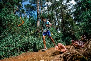 BIB: 
                            <button type="button" onclick="openModal(25878201)" class="btn btn-primary btn-sm float-right btn-popup" data-toggle="modal" data-target=".modal-high-quality">
                        <i class="fas fa-shopping-cart"></i> Add to Cart
                    </button>
                                            <button type="button" onclick="isThisMe(25878201, true)" class="btn btn-success btn-sm float-right btn-popup btn-isme hidden" data-toggle="tooltip" data-placement="bottom" title="นี่คือรูปของคุณใช่ไหม คลิกที่นี่เพื่อเอาเข้าอัลบั้ม">
                        <i class="fas fa-plus"></i> Add to album
                    </button>
                    <button type="button" onclick="isThisMe(25878201, false)" class="btn btn-warning btn-sm float-right btn-popup btn-isnotme hidden">
                        <i class="fas fa-ban"></i> Remove from album
                    </button>