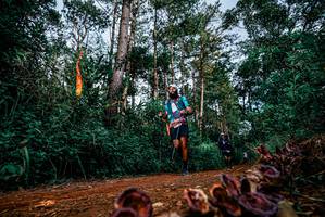 BIB: 
                            <button type="button" onclick="openModal(25881324)" class="btn btn-primary btn-sm float-right btn-popup" data-toggle="modal" data-target=".modal-high-quality">
                        <i class="fas fa-shopping-cart"></i> Add to Cart
                    </button>
                                            <button type="button" onclick="isThisMe(25881324, true)" class="btn btn-success btn-sm float-right btn-popup btn-isme hidden" data-toggle="tooltip" data-placement="bottom" title="นี่คือรูปของคุณใช่ไหม คลิกที่นี่เพื่อเอาเข้าอัลบั้ม">
                        <i class="fas fa-plus"></i> Add to album
                    </button>
                    <button type="button" onclick="isThisMe(25881324, false)" class="btn btn-warning btn-sm float-right btn-popup btn-isnotme hidden">
                        <i class="fas fa-ban"></i> Remove from album
                    </button>