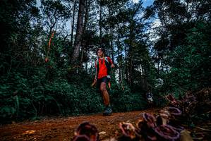 BIB: 
                            <button type="button" onclick="openModal(25880618)" class="btn btn-primary btn-sm float-right btn-popup" data-toggle="modal" data-target=".modal-high-quality">
                        <i class="fas fa-shopping-cart"></i> Add to Cart
                    </button>
                                            <button type="button" onclick="isThisMe(25880618, true)" class="btn btn-success btn-sm float-right btn-popup btn-isme hidden" data-toggle="tooltip" data-placement="bottom" title="นี่คือรูปของคุณใช่ไหม คลิกที่นี่เพื่อเอาเข้าอัลบั้ม">
                        <i class="fas fa-plus"></i> Add to album
                    </button>
                    <button type="button" onclick="isThisMe(25880618, false)" class="btn btn-warning btn-sm float-right btn-popup btn-isnotme hidden">
                        <i class="fas fa-ban"></i> Remove from album
                    </button>