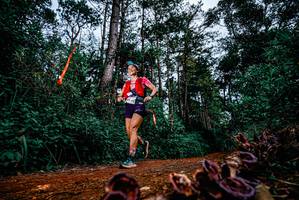 BIB: 
                            <button type="button" onclick="openModal(25879764)" class="btn btn-primary btn-sm float-right btn-popup" data-toggle="modal" data-target=".modal-high-quality">
                        <i class="fas fa-shopping-cart"></i> Add to Cart
                    </button>
                                            <button type="button" onclick="isThisMe(25879764, true)" class="btn btn-success btn-sm float-right btn-popup btn-isme hidden" data-toggle="tooltip" data-placement="bottom" title="นี่คือรูปของคุณใช่ไหม คลิกที่นี่เพื่อเอาเข้าอัลบั้ม">
                        <i class="fas fa-plus"></i> Add to album
                    </button>
                    <button type="button" onclick="isThisMe(25879764, false)" class="btn btn-warning btn-sm float-right btn-popup btn-isnotme hidden">
                        <i class="fas fa-ban"></i> Remove from album
                    </button>