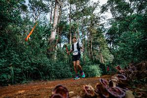 BIB: 
                            <button type="button" onclick="openModal(25880378)" class="btn btn-primary btn-sm float-right btn-popup" data-toggle="modal" data-target=".modal-high-quality">
                        <i class="fas fa-shopping-cart"></i> Add to Cart
                    </button>
                                            <button type="button" onclick="isThisMe(25880378, true)" class="btn btn-success btn-sm float-right btn-popup btn-isme hidden" data-toggle="tooltip" data-placement="bottom" title="นี่คือรูปของคุณใช่ไหม คลิกที่นี่เพื่อเอาเข้าอัลบั้ม">
                        <i class="fas fa-plus"></i> Add to album
                    </button>
                    <button type="button" onclick="isThisMe(25880378, false)" class="btn btn-warning btn-sm float-right btn-popup btn-isnotme hidden">
                        <i class="fas fa-ban"></i> Remove from album
                    </button>