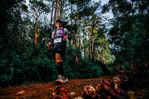 BIB: 
                            <button type="button" onclick="openModal(25882047)" class="btn btn-primary btn-sm float-right btn-popup" data-toggle="modal" data-target=".modal-high-quality">
                        <i class="fas fa-shopping-cart"></i> Add to Cart
                    </button>
                                            <button type="button" onclick="isThisMe(25882047, true)" class="btn btn-success btn-sm float-right btn-popup btn-isme hidden" data-toggle="tooltip" data-placement="bottom" title="นี่คือรูปของคุณใช่ไหม คลิกที่นี่เพื่อเอาเข้าอัลบั้ม">
                        <i class="fas fa-plus"></i> Add to album
                    </button>
                    <button type="button" onclick="isThisMe(25882047, false)" class="btn btn-warning btn-sm float-right btn-popup btn-isnotme hidden">
                        <i class="fas fa-ban"></i> Remove from album
                    </button>