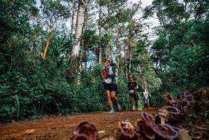 BIB: 
                            <button type="button" onclick="openModal(25880409)" class="btn btn-primary btn-sm float-right btn-popup" data-toggle="modal" data-target=".modal-high-quality">
                        <i class="fas fa-shopping-cart"></i> Add to Cart
                    </button>
                                            <button type="button" onclick="isThisMe(25880409, true)" class="btn btn-success btn-sm float-right btn-popup btn-isme hidden" data-toggle="tooltip" data-placement="bottom" title="นี่คือรูปของคุณใช่ไหม คลิกที่นี่เพื่อเอาเข้าอัลบั้ม">
                        <i class="fas fa-plus"></i> Add to album
                    </button>
                    <button type="button" onclick="isThisMe(25880409, false)" class="btn btn-warning btn-sm float-right btn-popup btn-isnotme hidden">
                        <i class="fas fa-ban"></i> Remove from album
                    </button>