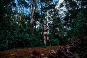 BIB: 
                            <button type="button" onclick="openModal(25880285)" class="btn btn-primary btn-sm float-right btn-popup" data-toggle="modal" data-target=".modal-high-quality">
                        <i class="fas fa-shopping-cart"></i> Add to Cart
                    </button>
                                            <button type="button" onclick="isThisMe(25880285, true)" class="btn btn-success btn-sm float-right btn-popup btn-isme hidden" data-toggle="tooltip" data-placement="bottom" title="นี่คือรูปของคุณใช่ไหม คลิกที่นี่เพื่อเอาเข้าอัลบั้ม">
                        <i class="fas fa-plus"></i> Add to album
                    </button>
                    <button type="button" onclick="isThisMe(25880285, false)" class="btn btn-warning btn-sm float-right btn-popup btn-isnotme hidden">
                        <i class="fas fa-ban"></i> Remove from album
                    </button>