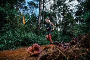 BIB: 
                            <button type="button" onclick="openModal(25878268)" class="btn btn-primary btn-sm float-right btn-popup" data-toggle="modal" data-target=".modal-high-quality">
                        <i class="fas fa-shopping-cart"></i> Add to Cart
                    </button>
                                            <button type="button" onclick="isThisMe(25878268, true)" class="btn btn-success btn-sm float-right btn-popup btn-isme hidden" data-toggle="tooltip" data-placement="bottom" title="นี่คือรูปของคุณใช่ไหม คลิกที่นี่เพื่อเอาเข้าอัลบั้ม">
                        <i class="fas fa-plus"></i> Add to album
                    </button>
                    <button type="button" onclick="isThisMe(25878268, false)" class="btn btn-warning btn-sm float-right btn-popup btn-isnotme hidden">
                        <i class="fas fa-ban"></i> Remove from album
                    </button>