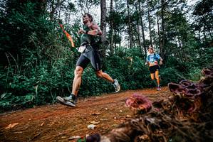 BIB: 
                            <button type="button" onclick="openModal(25877936)" class="btn btn-primary btn-sm float-right btn-popup" data-toggle="modal" data-target=".modal-high-quality">
                        <i class="fas fa-shopping-cart"></i> Add to Cart
                    </button>
                                            <button type="button" onclick="isThisMe(25877936, true)" class="btn btn-success btn-sm float-right btn-popup btn-isme hidden" data-toggle="tooltip" data-placement="bottom" title="นี่คือรูปของคุณใช่ไหม คลิกที่นี่เพื่อเอาเข้าอัลบั้ม">
                        <i class="fas fa-plus"></i> Add to album
                    </button>
                    <button type="button" onclick="isThisMe(25877936, false)" class="btn btn-warning btn-sm float-right btn-popup btn-isnotme hidden">
                        <i class="fas fa-ban"></i> Remove from album
                    </button>