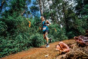 BIB: 
                            <button type="button" onclick="openModal(25878048)" class="btn btn-primary btn-sm float-right btn-popup" data-toggle="modal" data-target=".modal-high-quality">
                        <i class="fas fa-shopping-cart"></i> Add to Cart
                    </button>
                                            <button type="button" onclick="isThisMe(25878048, true)" class="btn btn-success btn-sm float-right btn-popup btn-isme hidden" data-toggle="tooltip" data-placement="bottom" title="นี่คือรูปของคุณใช่ไหม คลิกที่นี่เพื่อเอาเข้าอัลบั้ม">
                        <i class="fas fa-plus"></i> Add to album
                    </button>
                    <button type="button" onclick="isThisMe(25878048, false)" class="btn btn-warning btn-sm float-right btn-popup btn-isnotme hidden">
                        <i class="fas fa-ban"></i> Remove from album
                    </button>