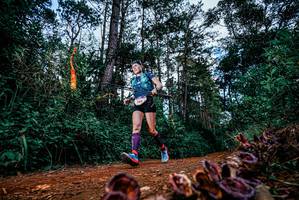 BIB: 
                            <button type="button" onclick="openModal(25880938)" class="btn btn-primary btn-sm float-right btn-popup" data-toggle="modal" data-target=".modal-high-quality">
                        <i class="fas fa-shopping-cart"></i> Add to Cart
                    </button>
                                            <button type="button" onclick="isThisMe(25880938, true)" class="btn btn-success btn-sm float-right btn-popup btn-isme hidden" data-toggle="tooltip" data-placement="bottom" title="นี่คือรูปของคุณใช่ไหม คลิกที่นี่เพื่อเอาเข้าอัลบั้ม">
                        <i class="fas fa-plus"></i> Add to album
                    </button>
                    <button type="button" onclick="isThisMe(25880938, false)" class="btn btn-warning btn-sm float-right btn-popup btn-isnotme hidden">
                        <i class="fas fa-ban"></i> Remove from album
                    </button>