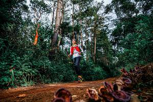 BIB: 
                            <button type="button" onclick="openModal(25881757)" class="btn btn-primary btn-sm float-right btn-popup" data-toggle="modal" data-target=".modal-high-quality">
                        <i class="fas fa-shopping-cart"></i> Add to Cart
                    </button>
                                            <button type="button" onclick="isThisMe(25881757, true)" class="btn btn-success btn-sm float-right btn-popup btn-isme hidden" data-toggle="tooltip" data-placement="bottom" title="นี่คือรูปของคุณใช่ไหม คลิกที่นี่เพื่อเอาเข้าอัลบั้ม">
                        <i class="fas fa-plus"></i> Add to album
                    </button>
                    <button type="button" onclick="isThisMe(25881757, false)" class="btn btn-warning btn-sm float-right btn-popup btn-isnotme hidden">
                        <i class="fas fa-ban"></i> Remove from album
                    </button>