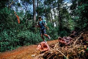 BIB: 
                            <button type="button" onclick="openModal(25878134)" class="btn btn-primary btn-sm float-right btn-popup" data-toggle="modal" data-target=".modal-high-quality">
                        <i class="fas fa-shopping-cart"></i> Add to Cart
                    </button>
                                            <button type="button" onclick="isThisMe(25878134, true)" class="btn btn-success btn-sm float-right btn-popup btn-isme hidden" data-toggle="tooltip" data-placement="bottom" title="นี่คือรูปของคุณใช่ไหม คลิกที่นี่เพื่อเอาเข้าอัลบั้ม">
                        <i class="fas fa-plus"></i> Add to album
                    </button>
                    <button type="button" onclick="isThisMe(25878134, false)" class="btn btn-warning btn-sm float-right btn-popup btn-isnotme hidden">
                        <i class="fas fa-ban"></i> Remove from album
                    </button>