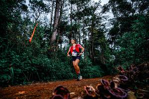 BIB: 
                            <button type="button" onclick="openModal(25879762)" class="btn btn-primary btn-sm float-right btn-popup" data-toggle="modal" data-target=".modal-high-quality">
                        <i class="fas fa-shopping-cart"></i> Add to Cart
                    </button>
                                            <button type="button" onclick="isThisMe(25879762, true)" class="btn btn-success btn-sm float-right btn-popup btn-isme hidden" data-toggle="tooltip" data-placement="bottom" title="นี่คือรูปของคุณใช่ไหม คลิกที่นี่เพื่อเอาเข้าอัลบั้ม">
                        <i class="fas fa-plus"></i> Add to album
                    </button>
                    <button type="button" onclick="isThisMe(25879762, false)" class="btn btn-warning btn-sm float-right btn-popup btn-isnotme hidden">
                        <i class="fas fa-ban"></i> Remove from album
                    </button>