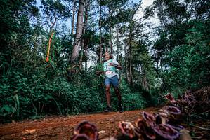 BIB: 
                            <button type="button" onclick="openModal(25880297)" class="btn btn-primary btn-sm float-right btn-popup" data-toggle="modal" data-target=".modal-high-quality">
                        <i class="fas fa-shopping-cart"></i> Add to Cart
                    </button>
                                            <button type="button" onclick="isThisMe(25880297, true)" class="btn btn-success btn-sm float-right btn-popup btn-isme hidden" data-toggle="tooltip" data-placement="bottom" title="นี่คือรูปของคุณใช่ไหม คลิกที่นี่เพื่อเอาเข้าอัลบั้ม">
                        <i class="fas fa-plus"></i> Add to album
                    </button>
                    <button type="button" onclick="isThisMe(25880297, false)" class="btn btn-warning btn-sm float-right btn-popup btn-isnotme hidden">
                        <i class="fas fa-ban"></i> Remove from album
                    </button>