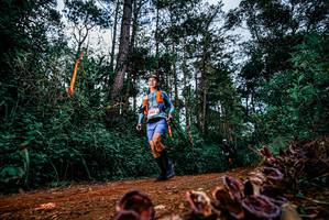 BIB: 
                            <button type="button" onclick="openModal(25881497)" class="btn btn-primary btn-sm float-right btn-popup" data-toggle="modal" data-target=".modal-high-quality">
                        <i class="fas fa-shopping-cart"></i> Add to Cart
                    </button>
                                            <button type="button" onclick="isThisMe(25881497, true)" class="btn btn-success btn-sm float-right btn-popup btn-isme hidden" data-toggle="tooltip" data-placement="bottom" title="นี่คือรูปของคุณใช่ไหม คลิกที่นี่เพื่อเอาเข้าอัลบั้ม">
                        <i class="fas fa-plus"></i> Add to album
                    </button>
                    <button type="button" onclick="isThisMe(25881497, false)" class="btn btn-warning btn-sm float-right btn-popup btn-isnotme hidden">
                        <i class="fas fa-ban"></i> Remove from album
                    </button>