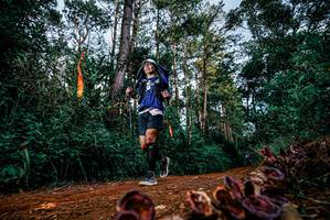 BIB: 
                            <button type="button" onclick="openModal(25881334)" class="btn btn-primary btn-sm float-right btn-popup" data-toggle="modal" data-target=".modal-high-quality">
                        <i class="fas fa-shopping-cart"></i> Add to Cart
                    </button>
                                            <button type="button" onclick="isThisMe(25881334, true)" class="btn btn-success btn-sm float-right btn-popup btn-isme hidden" data-toggle="tooltip" data-placement="bottom" title="นี่คือรูปของคุณใช่ไหม คลิกที่นี่เพื่อเอาเข้าอัลบั้ม">
                        <i class="fas fa-plus"></i> Add to album
                    </button>
                    <button type="button" onclick="isThisMe(25881334, false)" class="btn btn-warning btn-sm float-right btn-popup btn-isnotme hidden">
                        <i class="fas fa-ban"></i> Remove from album
                    </button>