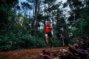 BIB: 
                            <button type="button" onclick="openModal(25878576)" class="btn btn-primary btn-sm float-right btn-popup" data-toggle="modal" data-target=".modal-high-quality">
                        <i class="fas fa-shopping-cart"></i> Add to Cart
                    </button>
                                            <button type="button" onclick="isThisMe(25878576, true)" class="btn btn-success btn-sm float-right btn-popup btn-isme hidden" data-toggle="tooltip" data-placement="bottom" title="นี่คือรูปของคุณใช่ไหม คลิกที่นี่เพื่อเอาเข้าอัลบั้ม">
                        <i class="fas fa-plus"></i> Add to album
                    </button>
                    <button type="button" onclick="isThisMe(25878576, false)" class="btn btn-warning btn-sm float-right btn-popup btn-isnotme hidden">
                        <i class="fas fa-ban"></i> Remove from album
                    </button>