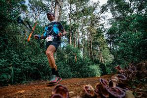 BIB: 
                            <button type="button" onclick="openModal(25880490)" class="btn btn-primary btn-sm float-right btn-popup" data-toggle="modal" data-target=".modal-high-quality">
                        <i class="fas fa-shopping-cart"></i> Add to Cart
                    </button>
                                            <button type="button" onclick="isThisMe(25880490, true)" class="btn btn-success btn-sm float-right btn-popup btn-isme hidden" data-toggle="tooltip" data-placement="bottom" title="นี่คือรูปของคุณใช่ไหม คลิกที่นี่เพื่อเอาเข้าอัลบั้ม">
                        <i class="fas fa-plus"></i> Add to album
                    </button>
                    <button type="button" onclick="isThisMe(25880490, false)" class="btn btn-warning btn-sm float-right btn-popup btn-isnotme hidden">
                        <i class="fas fa-ban"></i> Remove from album
                    </button>