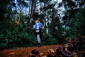 BIB: 
                            <button type="button" onclick="openModal(25879670)" class="btn btn-primary btn-sm float-right btn-popup" data-toggle="modal" data-target=".modal-high-quality">
                        <i class="fas fa-shopping-cart"></i> Add to Cart
                    </button>
                                            <button type="button" onclick="isThisMe(25879670, true)" class="btn btn-success btn-sm float-right btn-popup btn-isme hidden" data-toggle="tooltip" data-placement="bottom" title="นี่คือรูปของคุณใช่ไหม คลิกที่นี่เพื่อเอาเข้าอัลบั้ม">
                        <i class="fas fa-plus"></i> Add to album
                    </button>
                    <button type="button" onclick="isThisMe(25879670, false)" class="btn btn-warning btn-sm float-right btn-popup btn-isnotme hidden">
                        <i class="fas fa-ban"></i> Remove from album
                    </button>