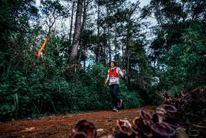 BIB: 
                            <button type="button" onclick="openModal(25879577)" class="btn btn-primary btn-sm float-right btn-popup" data-toggle="modal" data-target=".modal-high-quality">
                        <i class="fas fa-shopping-cart"></i> Add to Cart
                    </button>
                                            <button type="button" onclick="isThisMe(25879577, true)" class="btn btn-success btn-sm float-right btn-popup btn-isme hidden" data-toggle="tooltip" data-placement="bottom" title="นี่คือรูปของคุณใช่ไหม คลิกที่นี่เพื่อเอาเข้าอัลบั้ม">
                        <i class="fas fa-plus"></i> Add to album
                    </button>
                    <button type="button" onclick="isThisMe(25879577, false)" class="btn btn-warning btn-sm float-right btn-popup btn-isnotme hidden">
                        <i class="fas fa-ban"></i> Remove from album
                    </button>