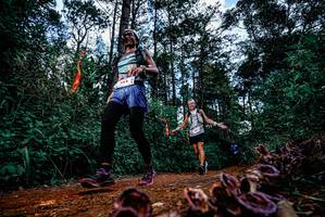 BIB: 
                            <button type="button" onclick="openModal(25879248)" class="btn btn-primary btn-sm float-right btn-popup" data-toggle="modal" data-target=".modal-high-quality">
                        <i class="fas fa-shopping-cart"></i> Add to Cart
                    </button>
                                            <button type="button" onclick="isThisMe(25879248, true)" class="btn btn-success btn-sm float-right btn-popup btn-isme hidden" data-toggle="tooltip" data-placement="bottom" title="นี่คือรูปของคุณใช่ไหม คลิกที่นี่เพื่อเอาเข้าอัลบั้ม">
                        <i class="fas fa-plus"></i> Add to album
                    </button>
                    <button type="button" onclick="isThisMe(25879248, false)" class="btn btn-warning btn-sm float-right btn-popup btn-isnotme hidden">
                        <i class="fas fa-ban"></i> Remove from album
                    </button>