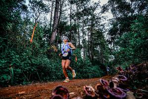 BIB: 
                            <button type="button" onclick="openModal(25879077)" class="btn btn-primary btn-sm float-right btn-popup" data-toggle="modal" data-target=".modal-high-quality">
                        <i class="fas fa-shopping-cart"></i> Add to Cart
                    </button>
                                            <button type="button" onclick="isThisMe(25879077, true)" class="btn btn-success btn-sm float-right btn-popup btn-isme hidden" data-toggle="tooltip" data-placement="bottom" title="นี่คือรูปของคุณใช่ไหม คลิกที่นี่เพื่อเอาเข้าอัลบั้ม">
                        <i class="fas fa-plus"></i> Add to album
                    </button>
                    <button type="button" onclick="isThisMe(25879077, false)" class="btn btn-warning btn-sm float-right btn-popup btn-isnotme hidden">
                        <i class="fas fa-ban"></i> Remove from album
                    </button>