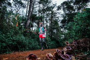 BIB: 
                            <button type="button" onclick="openModal(25878872)" class="btn btn-primary btn-sm float-right btn-popup" data-toggle="modal" data-target=".modal-high-quality">
                        <i class="fas fa-shopping-cart"></i> Add to Cart
                    </button>
                                            <button type="button" onclick="isThisMe(25878872, true)" class="btn btn-success btn-sm float-right btn-popup btn-isme hidden" data-toggle="tooltip" data-placement="bottom" title="นี่คือรูปของคุณใช่ไหม คลิกที่นี่เพื่อเอาเข้าอัลบั้ม">
                        <i class="fas fa-plus"></i> Add to album
                    </button>
                    <button type="button" onclick="isThisMe(25878872, false)" class="btn btn-warning btn-sm float-right btn-popup btn-isnotme hidden">
                        <i class="fas fa-ban"></i> Remove from album
                    </button>