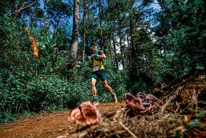 BIB: 
                            <button type="button" onclick="openModal(25878144)" class="btn btn-primary btn-sm float-right btn-popup" data-toggle="modal" data-target=".modal-high-quality">
                        <i class="fas fa-shopping-cart"></i> Add to Cart
                    </button>
                                            <button type="button" onclick="isThisMe(25878144, true)" class="btn btn-success btn-sm float-right btn-popup btn-isme hidden" data-toggle="tooltip" data-placement="bottom" title="นี่คือรูปของคุณใช่ไหม คลิกที่นี่เพื่อเอาเข้าอัลบั้ม">
                        <i class="fas fa-plus"></i> Add to album
                    </button>
                    <button type="button" onclick="isThisMe(25878144, false)" class="btn btn-warning btn-sm float-right btn-popup btn-isnotme hidden">
                        <i class="fas fa-ban"></i> Remove from album
                    </button>