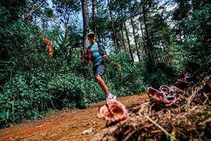 BIB: 
                            <button type="button" onclick="openModal(25878146)" class="btn btn-primary btn-sm float-right btn-popup" data-toggle="modal" data-target=".modal-high-quality">
                        <i class="fas fa-shopping-cart"></i> Add to Cart
                    </button>
                                            <button type="button" onclick="isThisMe(25878146, true)" class="btn btn-success btn-sm float-right btn-popup btn-isme hidden" data-toggle="tooltip" data-placement="bottom" title="นี่คือรูปของคุณใช่ไหม คลิกที่นี่เพื่อเอาเข้าอัลบั้ม">
                        <i class="fas fa-plus"></i> Add to album
                    </button>
                    <button type="button" onclick="isThisMe(25878146, false)" class="btn btn-warning btn-sm float-right btn-popup btn-isnotme hidden">
                        <i class="fas fa-ban"></i> Remove from album
                    </button>