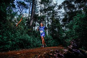 BIB: 
                            <button type="button" onclick="openModal(25878614)" class="btn btn-primary btn-sm float-right btn-popup" data-toggle="modal" data-target=".modal-high-quality">
                        <i class="fas fa-shopping-cart"></i> Add to Cart
                    </button>
                                            <button type="button" onclick="isThisMe(25878614, true)" class="btn btn-success btn-sm float-right btn-popup btn-isme hidden" data-toggle="tooltip" data-placement="bottom" title="นี่คือรูปของคุณใช่ไหม คลิกที่นี่เพื่อเอาเข้าอัลบั้ม">
                        <i class="fas fa-plus"></i> Add to album
                    </button>
                    <button type="button" onclick="isThisMe(25878614, false)" class="btn btn-warning btn-sm float-right btn-popup btn-isnotme hidden">
                        <i class="fas fa-ban"></i> Remove from album
                    </button>