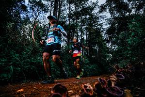 BIB: 
                            <button type="button" onclick="openModal(25882124)" class="btn btn-primary btn-sm float-right btn-popup" data-toggle="modal" data-target=".modal-high-quality">
                        <i class="fas fa-shopping-cart"></i> Add to Cart
                    </button>
                                            <button type="button" onclick="isThisMe(25882124, true)" class="btn btn-success btn-sm float-right btn-popup btn-isme hidden" data-toggle="tooltip" data-placement="bottom" title="นี่คือรูปของคุณใช่ไหม คลิกที่นี่เพื่อเอาเข้าอัลบั้ม">
                        <i class="fas fa-plus"></i> Add to album
                    </button>
                    <button type="button" onclick="isThisMe(25882124, false)" class="btn btn-warning btn-sm float-right btn-popup btn-isnotme hidden">
                        <i class="fas fa-ban"></i> Remove from album
                    </button>