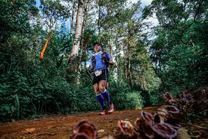 BIB: 
                            <button type="button" onclick="openModal(25880352)" class="btn btn-primary btn-sm float-right btn-popup" data-toggle="modal" data-target=".modal-high-quality">
                        <i class="fas fa-shopping-cart"></i> Add to Cart
                    </button>
                                            <button type="button" onclick="isThisMe(25880352, true)" class="btn btn-success btn-sm float-right btn-popup btn-isme hidden" data-toggle="tooltip" data-placement="bottom" title="นี่คือรูปของคุณใช่ไหม คลิกที่นี่เพื่อเอาเข้าอัลบั้ม">
                        <i class="fas fa-plus"></i> Add to album
                    </button>
                    <button type="button" onclick="isThisMe(25880352, false)" class="btn btn-warning btn-sm float-right btn-popup btn-isnotme hidden">
                        <i class="fas fa-ban"></i> Remove from album
                    </button>