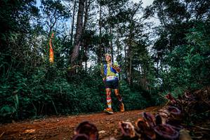 BIB: 
                            <button type="button" onclick="openModal(25881085)" class="btn btn-primary btn-sm float-right btn-popup" data-toggle="modal" data-target=".modal-high-quality">
                        <i class="fas fa-shopping-cart"></i> Add to Cart
                    </button>
                                            <button type="button" onclick="isThisMe(25881085, true)" class="btn btn-success btn-sm float-right btn-popup btn-isme hidden" data-toggle="tooltip" data-placement="bottom" title="นี่คือรูปของคุณใช่ไหม คลิกที่นี่เพื่อเอาเข้าอัลบั้ม">
                        <i class="fas fa-plus"></i> Add to album
                    </button>
                    <button type="button" onclick="isThisMe(25881085, false)" class="btn btn-warning btn-sm float-right btn-popup btn-isnotme hidden">
                        <i class="fas fa-ban"></i> Remove from album
                    </button>