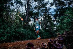 BIB: 
                            <button type="button" onclick="openModal(25879449)" class="btn btn-primary btn-sm float-right btn-popup" data-toggle="modal" data-target=".modal-high-quality">
                        <i class="fas fa-shopping-cart"></i> Add to Cart
                    </button>
                                            <button type="button" onclick="isThisMe(25879449, true)" class="btn btn-success btn-sm float-right btn-popup btn-isme hidden" data-toggle="tooltip" data-placement="bottom" title="นี่คือรูปของคุณใช่ไหม คลิกที่นี่เพื่อเอาเข้าอัลบั้ม">
                        <i class="fas fa-plus"></i> Add to album
                    </button>
                    <button type="button" onclick="isThisMe(25879449, false)" class="btn btn-warning btn-sm float-right btn-popup btn-isnotme hidden">
                        <i class="fas fa-ban"></i> Remove from album
                    </button>