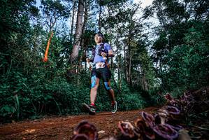 BIB: 
                            <button type="button" onclick="openModal(25880259)" class="btn btn-primary btn-sm float-right btn-popup" data-toggle="modal" data-target=".modal-high-quality">
                        <i class="fas fa-shopping-cart"></i> Add to Cart
                    </button>
                                            <button type="button" onclick="isThisMe(25880259, true)" class="btn btn-success btn-sm float-right btn-popup btn-isme hidden" data-toggle="tooltip" data-placement="bottom" title="นี่คือรูปของคุณใช่ไหม คลิกที่นี่เพื่อเอาเข้าอัลบั้ม">
                        <i class="fas fa-plus"></i> Add to album
                    </button>
                    <button type="button" onclick="isThisMe(25880259, false)" class="btn btn-warning btn-sm float-right btn-popup btn-isnotme hidden">
                        <i class="fas fa-ban"></i> Remove from album
                    </button>