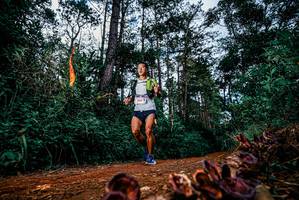 BIB: 
                            <button type="button" onclick="openModal(25881293)" class="btn btn-primary btn-sm float-right btn-popup" data-toggle="modal" data-target=".modal-high-quality">
                        <i class="fas fa-shopping-cart"></i> Add to Cart
                    </button>
                                            <button type="button" onclick="isThisMe(25881293, true)" class="btn btn-success btn-sm float-right btn-popup btn-isme hidden" data-toggle="tooltip" data-placement="bottom" title="นี่คือรูปของคุณใช่ไหม คลิกที่นี่เพื่อเอาเข้าอัลบั้ม">
                        <i class="fas fa-plus"></i> Add to album
                    </button>
                    <button type="button" onclick="isThisMe(25881293, false)" class="btn btn-warning btn-sm float-right btn-popup btn-isnotme hidden">
                        <i class="fas fa-ban"></i> Remove from album
                    </button>