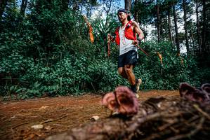 BIB: 
                            <button type="button" onclick="openModal(25878270)" class="btn btn-primary btn-sm float-right btn-popup" data-toggle="modal" data-target=".modal-high-quality">
                        <i class="fas fa-shopping-cart"></i> Add to Cart
                    </button>
                                            <button type="button" onclick="isThisMe(25878270, true)" class="btn btn-success btn-sm float-right btn-popup btn-isme hidden" data-toggle="tooltip" data-placement="bottom" title="นี่คือรูปของคุณใช่ไหม คลิกที่นี่เพื่อเอาเข้าอัลบั้ม">
                        <i class="fas fa-plus"></i> Add to album
                    </button>
                    <button type="button" onclick="isThisMe(25878270, false)" class="btn btn-warning btn-sm float-right btn-popup btn-isnotme hidden">
                        <i class="fas fa-ban"></i> Remove from album
                    </button>