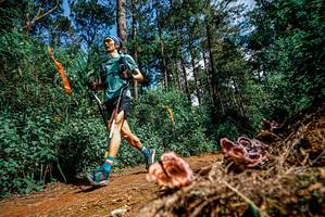 BIB: 
                            <button type="button" onclick="openModal(25878153)" class="btn btn-primary btn-sm float-right btn-popup" data-toggle="modal" data-target=".modal-high-quality">
                        <i class="fas fa-shopping-cart"></i> Add to Cart
                    </button>
                                            <button type="button" onclick="isThisMe(25878153, true)" class="btn btn-success btn-sm float-right btn-popup btn-isme hidden" data-toggle="tooltip" data-placement="bottom" title="นี่คือรูปของคุณใช่ไหม คลิกที่นี่เพื่อเอาเข้าอัลบั้ม">
                        <i class="fas fa-plus"></i> Add to album
                    </button>
                    <button type="button" onclick="isThisMe(25878153, false)" class="btn btn-warning btn-sm float-right btn-popup btn-isnotme hidden">
                        <i class="fas fa-ban"></i> Remove from album
                    </button>