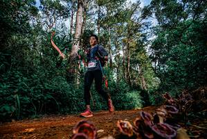 BIB: 
                            <button type="button" onclick="openModal(25880586)" class="btn btn-primary btn-sm float-right btn-popup" data-toggle="modal" data-target=".modal-high-quality">
                        <i class="fas fa-shopping-cart"></i> Add to Cart
                    </button>
                                            <button type="button" onclick="isThisMe(25880586, true)" class="btn btn-success btn-sm float-right btn-popup btn-isme hidden" data-toggle="tooltip" data-placement="bottom" title="นี่คือรูปของคุณใช่ไหม คลิกที่นี่เพื่อเอาเข้าอัลบั้ม">
                        <i class="fas fa-plus"></i> Add to album
                    </button>
                    <button type="button" onclick="isThisMe(25880586, false)" class="btn btn-warning btn-sm float-right btn-popup btn-isnotme hidden">
                        <i class="fas fa-ban"></i> Remove from album
                    </button>