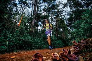 BIB: 
                            <button type="button" onclick="openModal(25881642)" class="btn btn-primary btn-sm float-right btn-popup" data-toggle="modal" data-target=".modal-high-quality">
                        <i class="fas fa-shopping-cart"></i> Add to Cart
                    </button>
                                            <button type="button" onclick="isThisMe(25881642, true)" class="btn btn-success btn-sm float-right btn-popup btn-isme hidden" data-toggle="tooltip" data-placement="bottom" title="นี่คือรูปของคุณใช่ไหม คลิกที่นี่เพื่อเอาเข้าอัลบั้ม">
                        <i class="fas fa-plus"></i> Add to album
                    </button>
                    <button type="button" onclick="isThisMe(25881642, false)" class="btn btn-warning btn-sm float-right btn-popup btn-isnotme hidden">
                        <i class="fas fa-ban"></i> Remove from album
                    </button>