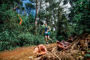 BIB: 
                            <button type="button" onclick="openModal(25878036)" class="btn btn-primary btn-sm float-right btn-popup" data-toggle="modal" data-target=".modal-high-quality">
                        <i class="fas fa-shopping-cart"></i> Add to Cart
                    </button>
                                            <button type="button" onclick="isThisMe(25878036, true)" class="btn btn-success btn-sm float-right btn-popup btn-isme hidden" data-toggle="tooltip" data-placement="bottom" title="นี่คือรูปของคุณใช่ไหม คลิกที่นี่เพื่อเอาเข้าอัลบั้ม">
                        <i class="fas fa-plus"></i> Add to album
                    </button>
                    <button type="button" onclick="isThisMe(25878036, false)" class="btn btn-warning btn-sm float-right btn-popup btn-isnotme hidden">
                        <i class="fas fa-ban"></i> Remove from album
                    </button>