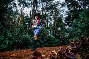 BIB: 
                            <button type="button" onclick="openModal(25881496)" class="btn btn-primary btn-sm float-right btn-popup" data-toggle="modal" data-target=".modal-high-quality">
                        <i class="fas fa-shopping-cart"></i> Add to Cart
                    </button>
                                            <button type="button" onclick="isThisMe(25881496, true)" class="btn btn-success btn-sm float-right btn-popup btn-isme hidden" data-toggle="tooltip" data-placement="bottom" title="นี่คือรูปของคุณใช่ไหม คลิกที่นี่เพื่อเอาเข้าอัลบั้ม">
                        <i class="fas fa-plus"></i> Add to album
                    </button>
                    <button type="button" onclick="isThisMe(25881496, false)" class="btn btn-warning btn-sm float-right btn-popup btn-isnotme hidden">
                        <i class="fas fa-ban"></i> Remove from album
                    </button>