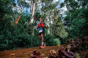 BIB: 
                            <button type="button" onclick="openModal(25880342)" class="btn btn-primary btn-sm float-right btn-popup" data-toggle="modal" data-target=".modal-high-quality">
                        <i class="fas fa-shopping-cart"></i> Add to Cart
                    </button>
                                            <button type="button" onclick="isThisMe(25880342, true)" class="btn btn-success btn-sm float-right btn-popup btn-isme hidden" data-toggle="tooltip" data-placement="bottom" title="นี่คือรูปของคุณใช่ไหม คลิกที่นี่เพื่อเอาเข้าอัลบั้ม">
                        <i class="fas fa-plus"></i> Add to album
                    </button>
                    <button type="button" onclick="isThisMe(25880342, false)" class="btn btn-warning btn-sm float-right btn-popup btn-isnotme hidden">
                        <i class="fas fa-ban"></i> Remove from album
                    </button>